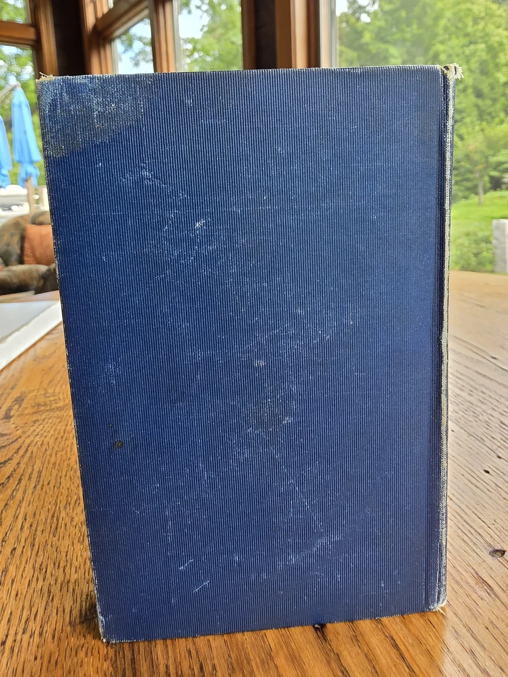 1899 In the Hearts of His Countrymen Hardcover Small, Maynard & Co., Boston